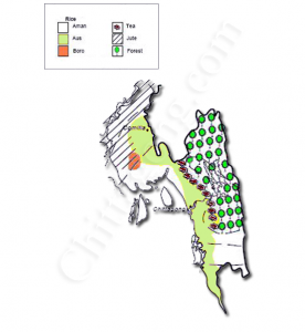 chittagong-agriculture-bangladesh1