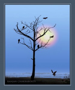 (6) Ranjan Chakraborty