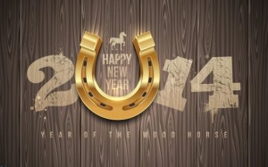 HAPPY NEW YEAR 2014