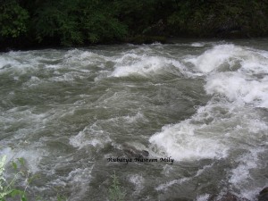 CIMG0276