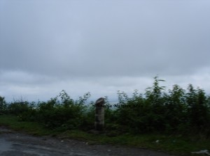 DSC00412
