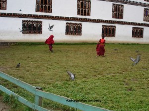 DSC00469
