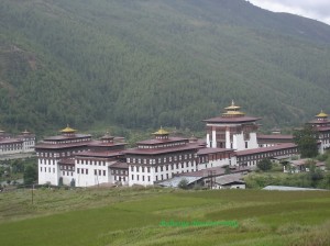 DSC00481
