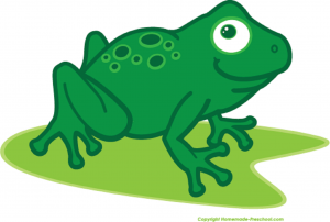frog-on-lily-pad